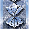 Dg  208